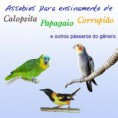 /album/produtos-por-encomenda/capa-cd-assobios-jpg/